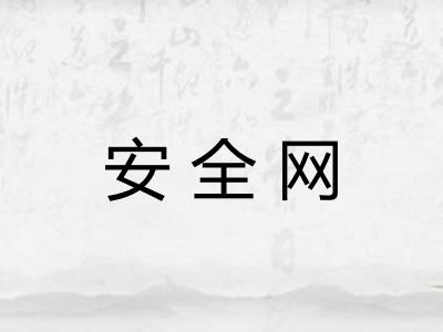 安全网