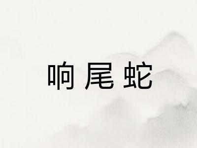 响尾蛇