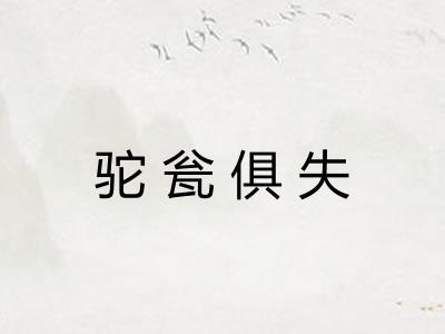 驼瓮俱失