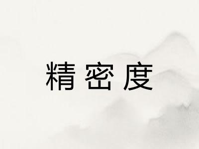 精密度