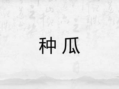 种瓜