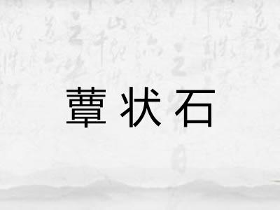 蕈状石
