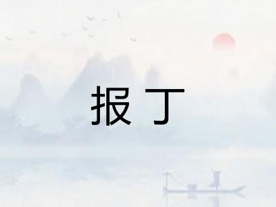 报丁