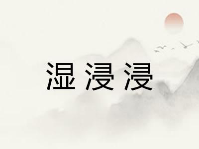 湿浸浸