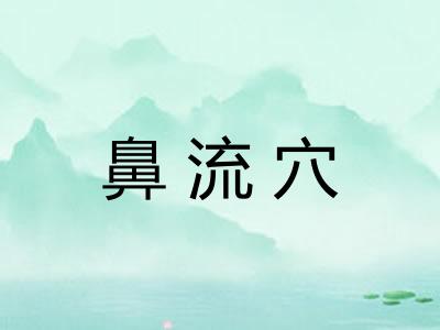 鼻流穴