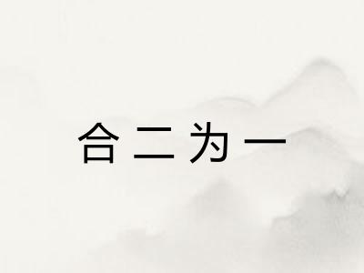 合二为一