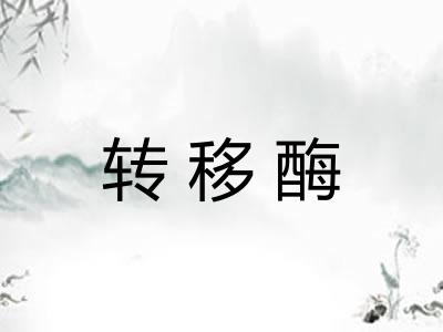 转移酶