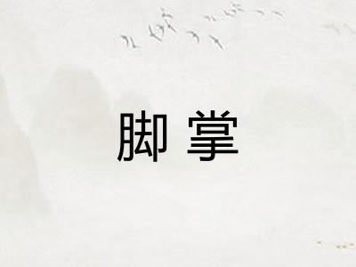 脚掌