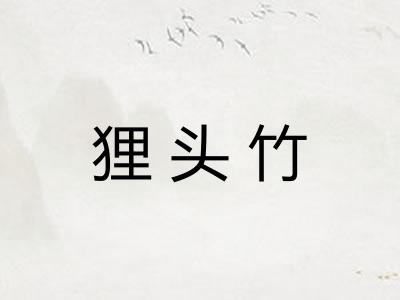 狸头竹