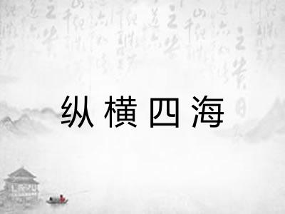 纵横四海