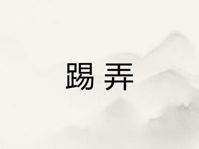 踢弄