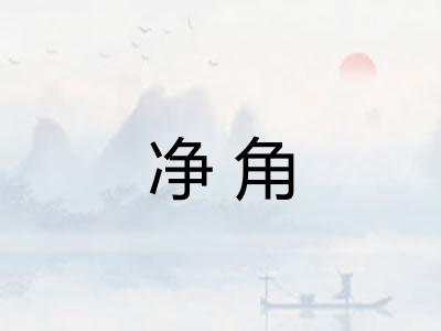 净角