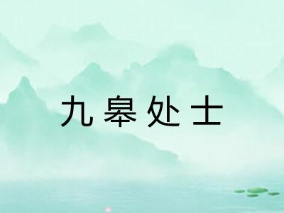 九皋处士