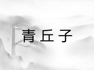 青丘子