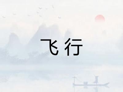 飞行