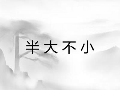 半大不小