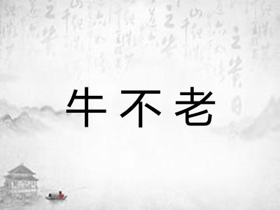 牛不老