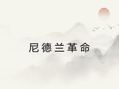 尼德兰革命