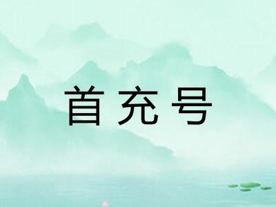 首充号