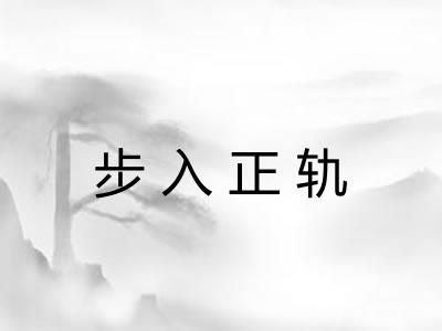 步入正轨