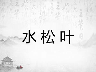 水松叶