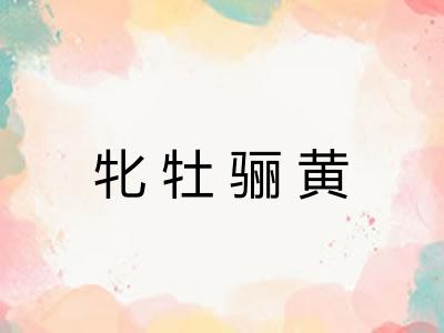 牝牡骊黄