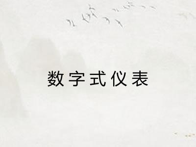 数字式仪表