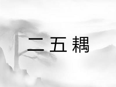 二五耦
