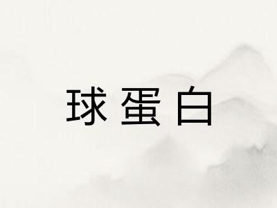 球蛋白