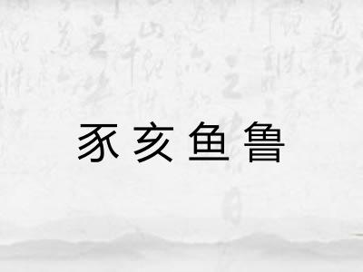 豕亥鱼鲁