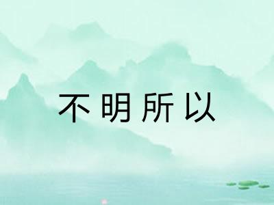 不明所以