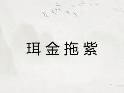 珥金拖紫
