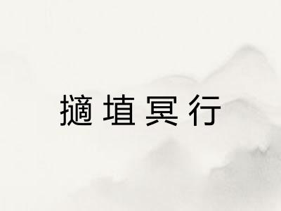 擿埴冥行