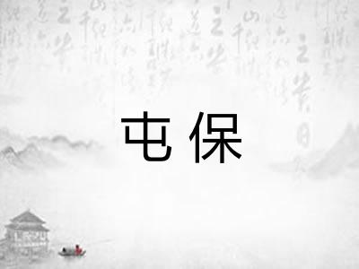 屯保