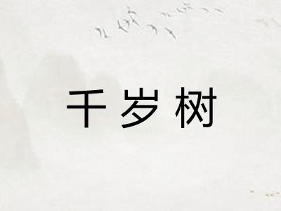 千岁树