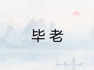 毕老
