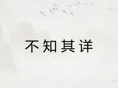 不知其详