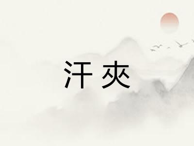 汗夾