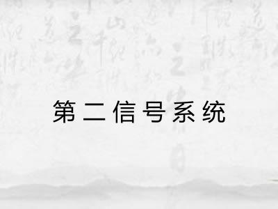 第二信号系统