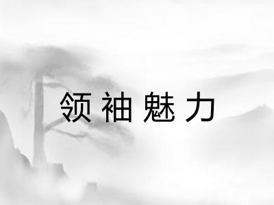 领袖魅力