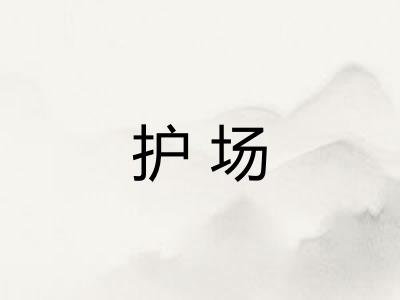 护场