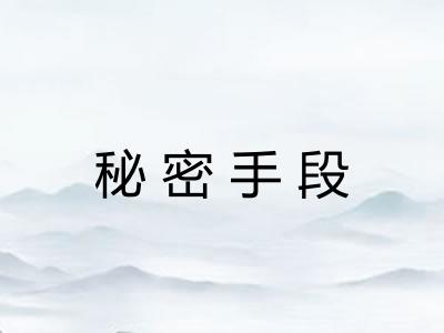 秘密手段
