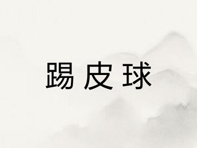 踢皮球