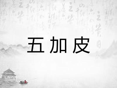 五加皮