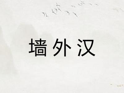 墙外汉