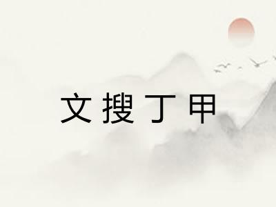 文搜丁甲