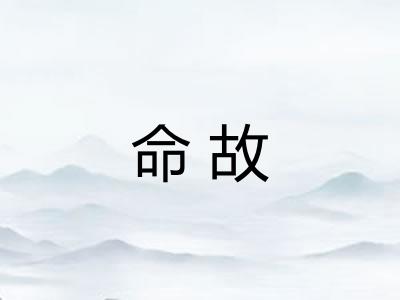 命故