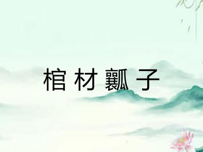 棺材瓤子