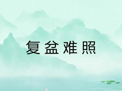 复盆难照