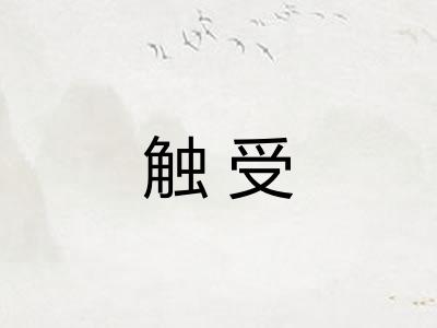 触受